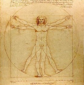 Fisiologia