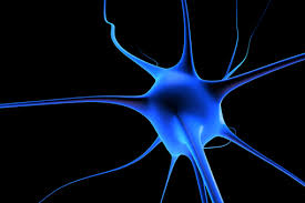 Lezione Magistrale: Università e ricerca: notizie dal fronte, 20 Luglio, 2018